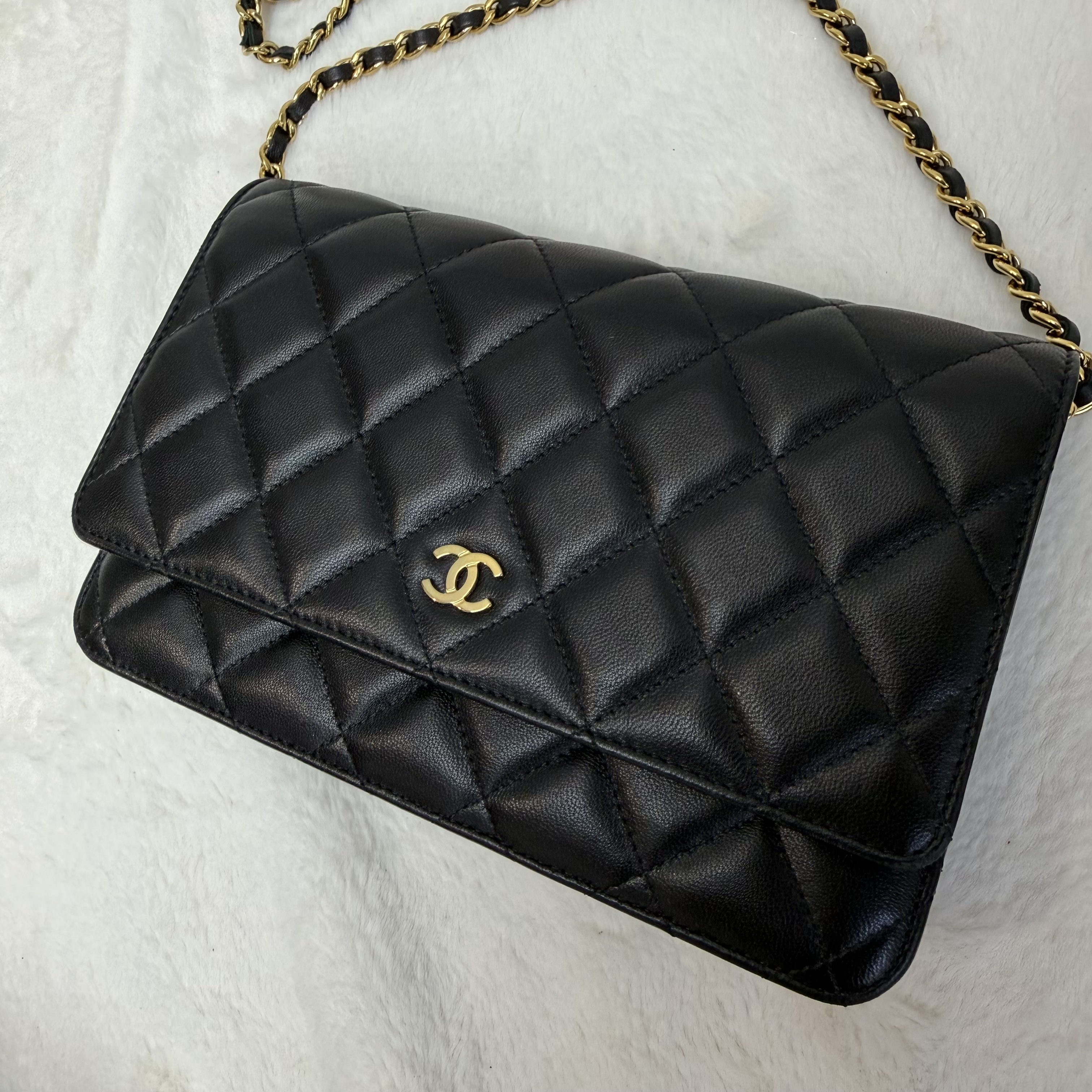 Chanel WOC 發財包 單肩/斜挎