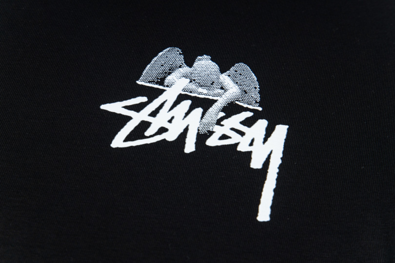 Stussy Tee