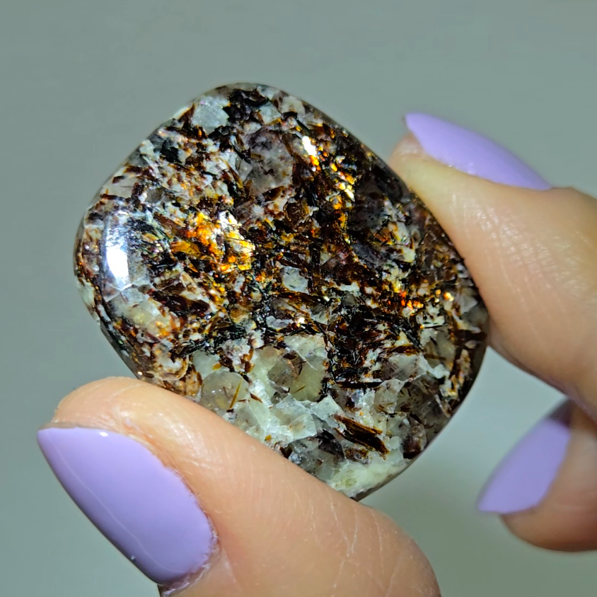 Astrophyllite cabochon with golden-bronze metallic inclusions - AST20