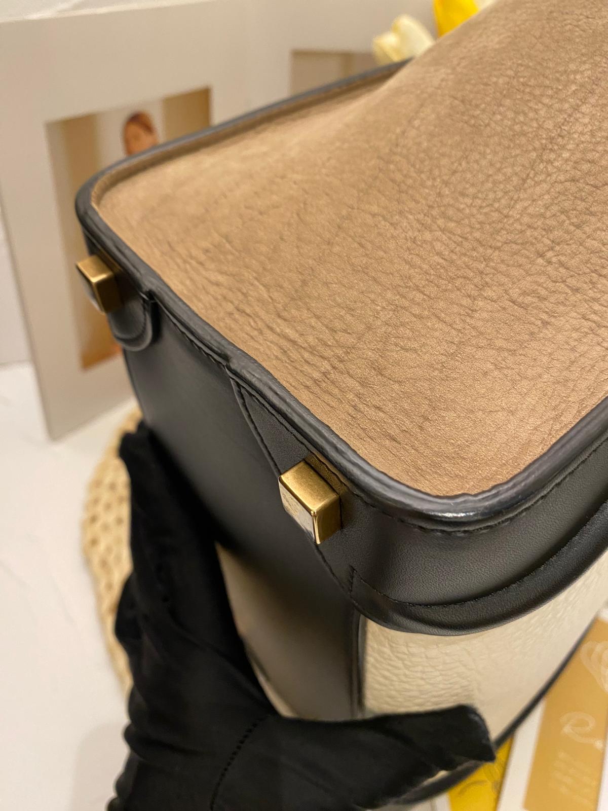 Celine Tricolor Luggage Bag