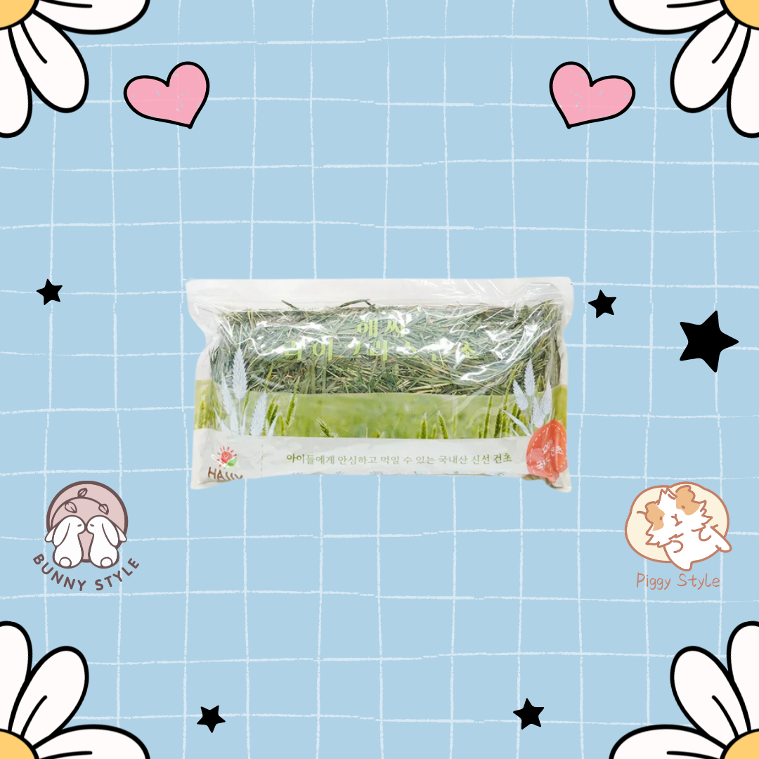 韓國 HASSY 國產天然黑麥草 400g