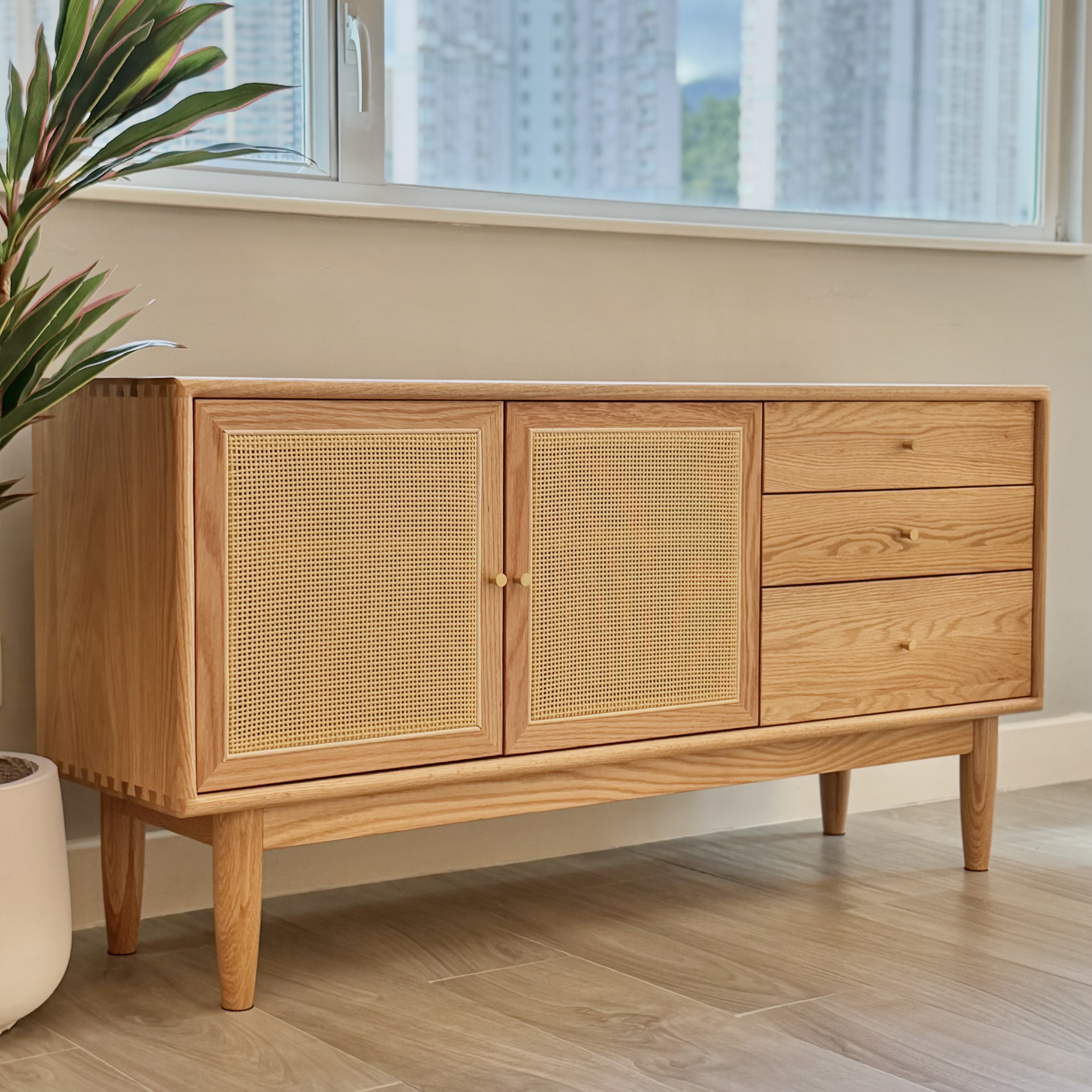 SAGION TV Cabinet