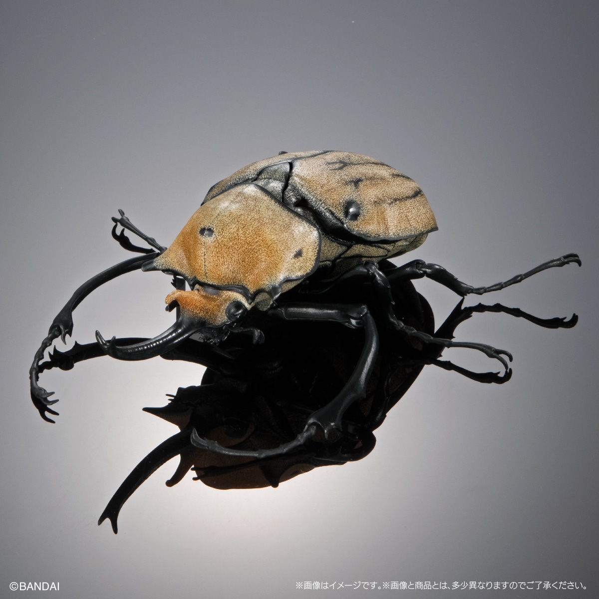 [GOL]THE DIVERSITY OF LIFE ON EARTH ADVANCE BEETLE 04 DISPLAY STAND & BARK PEDESTAL (MEDIUM) SET