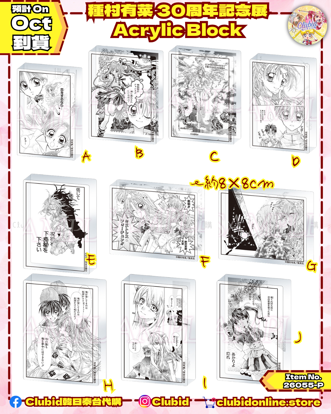 《Pre-Order》Acrylic Block 亞克力立磚｜種村有菜 30周年記念展商品 (26055-P)