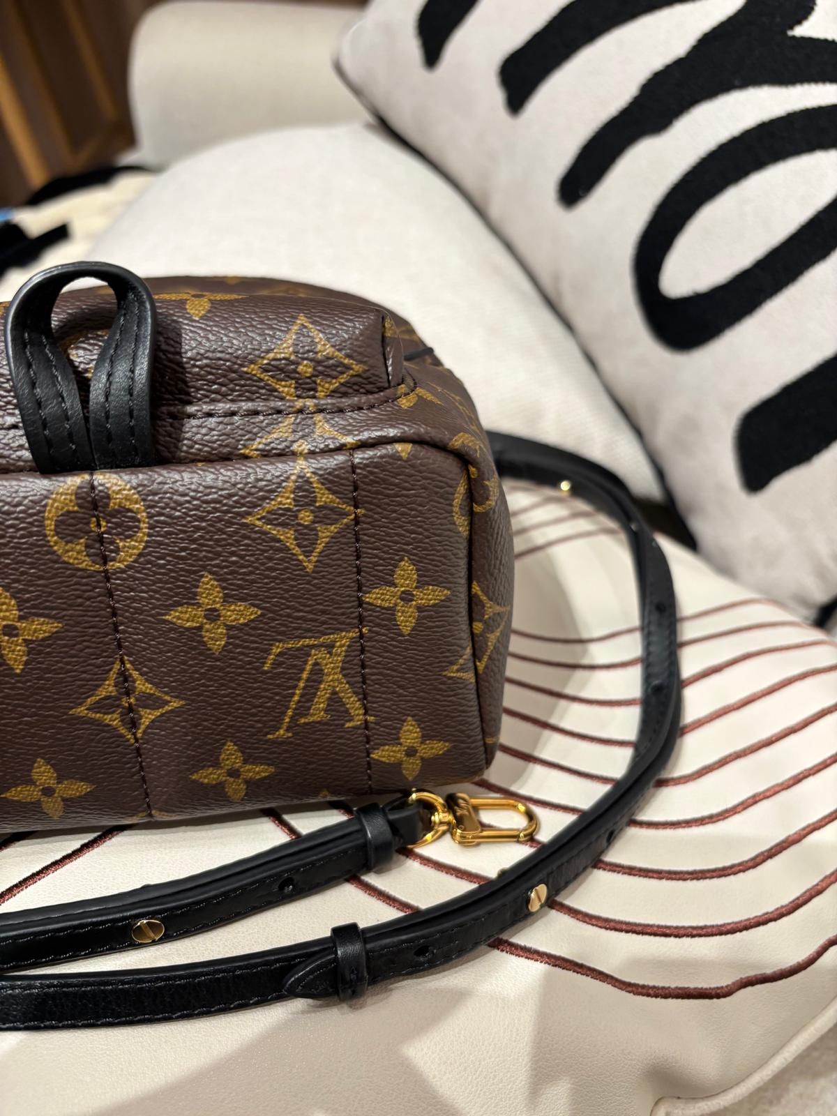 Lv mini Palm Springs backpack M44873 100%Authentic ,98%new ✅dust bag✅Strap