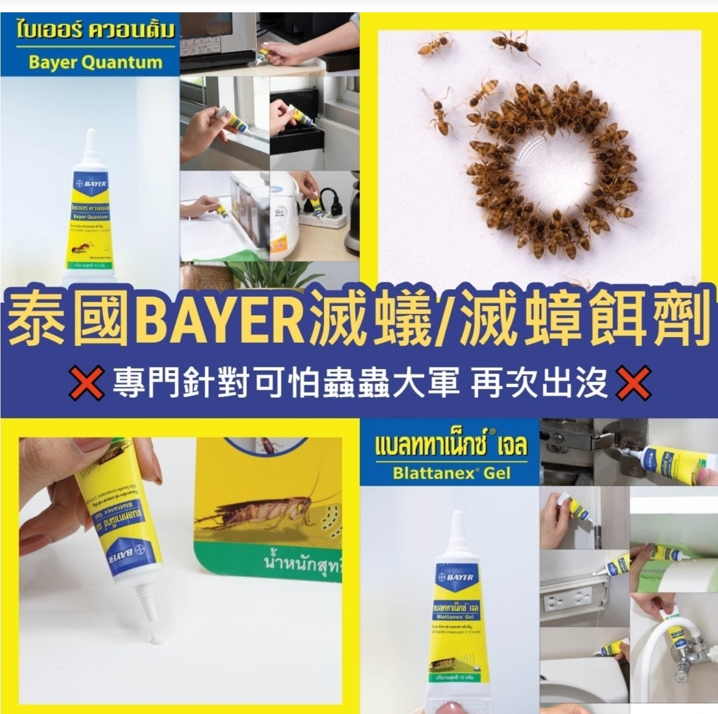 $85支.2支以上$75支.泰國BAYER滅蟻餌劑12g-1盒1支