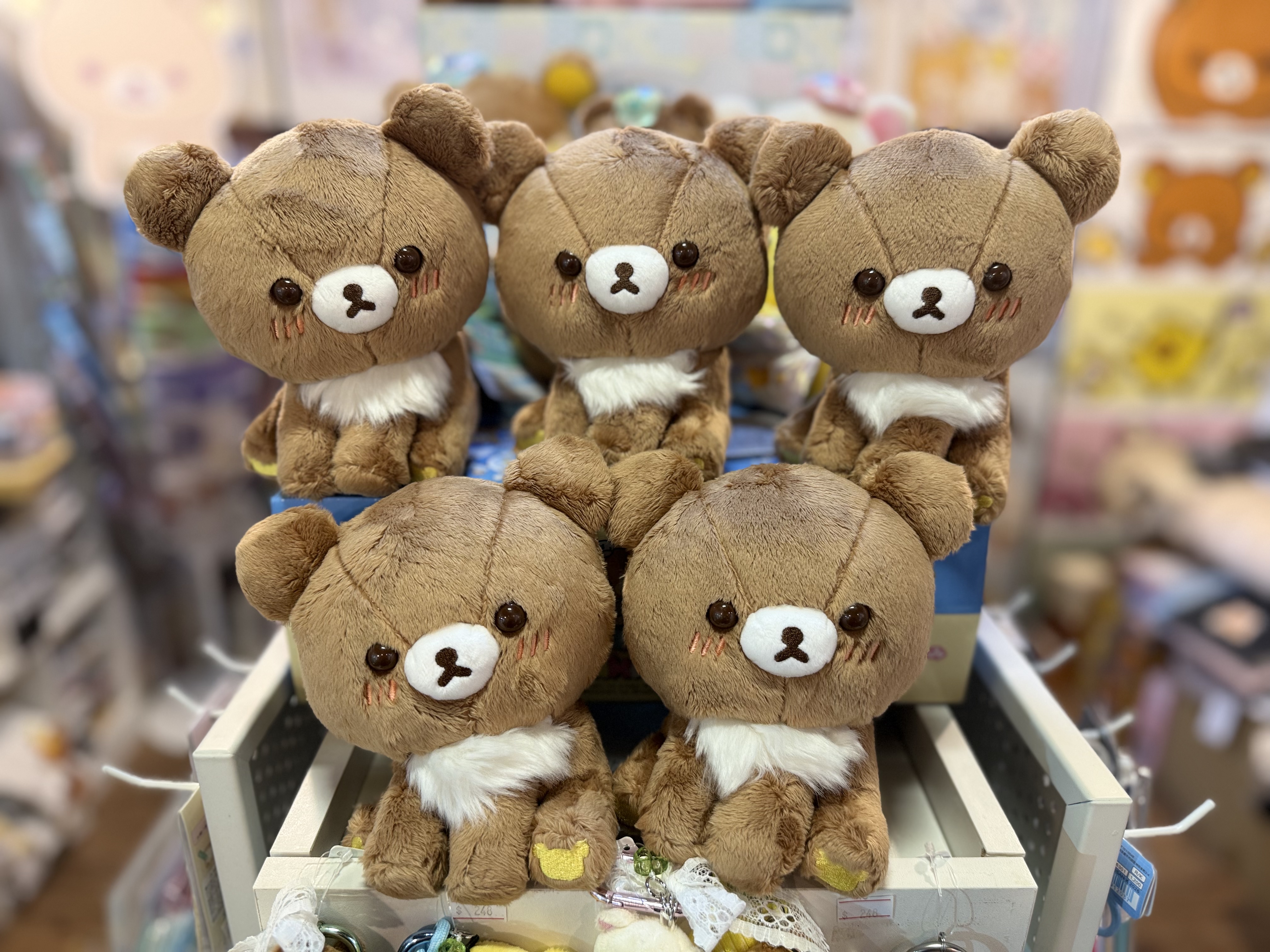 《現貨》全新日本專店限定小熊10週年 側坐小熊公仔