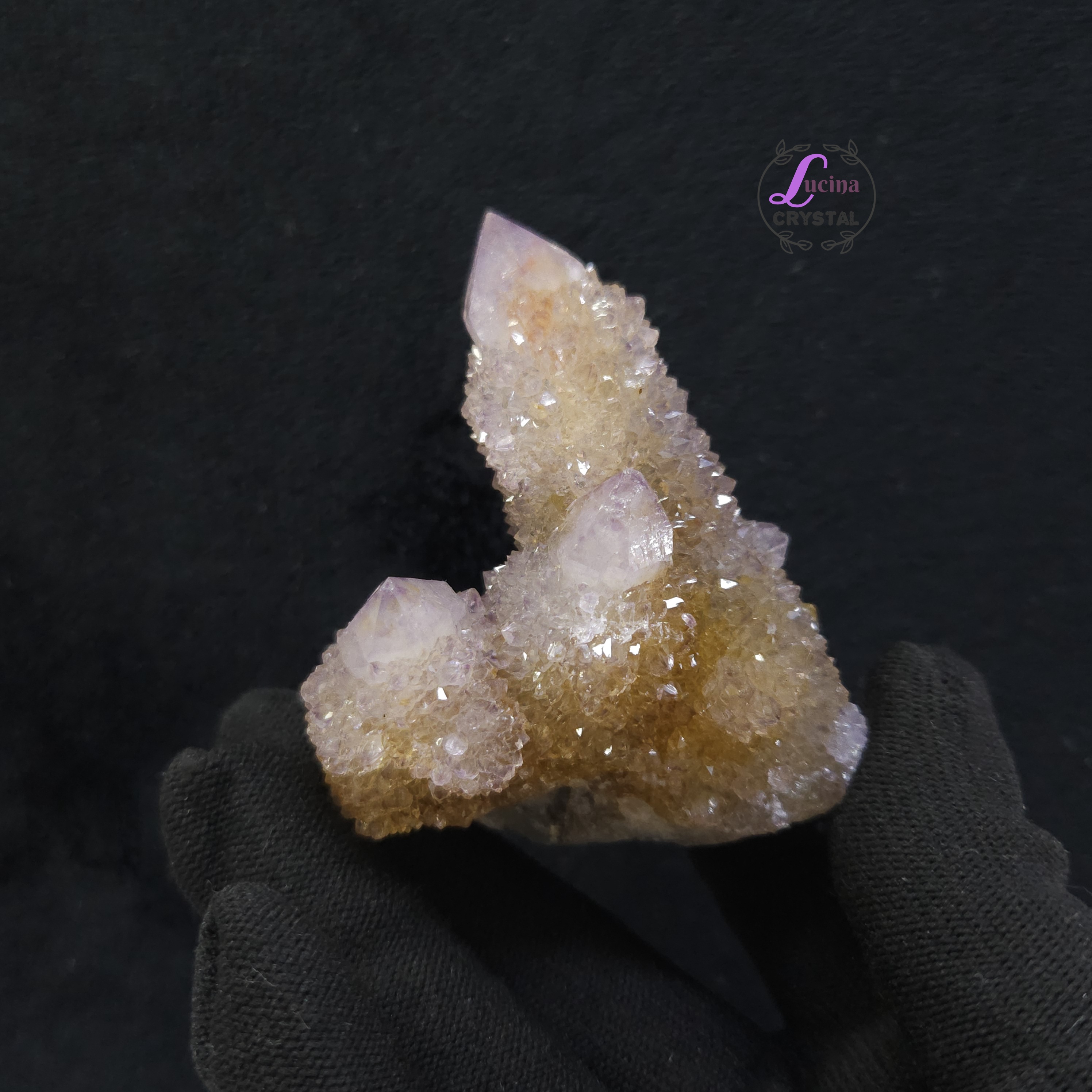 (Co#LC8559) 仙人掌紫水晶/Cactus Amethyst Cluster
