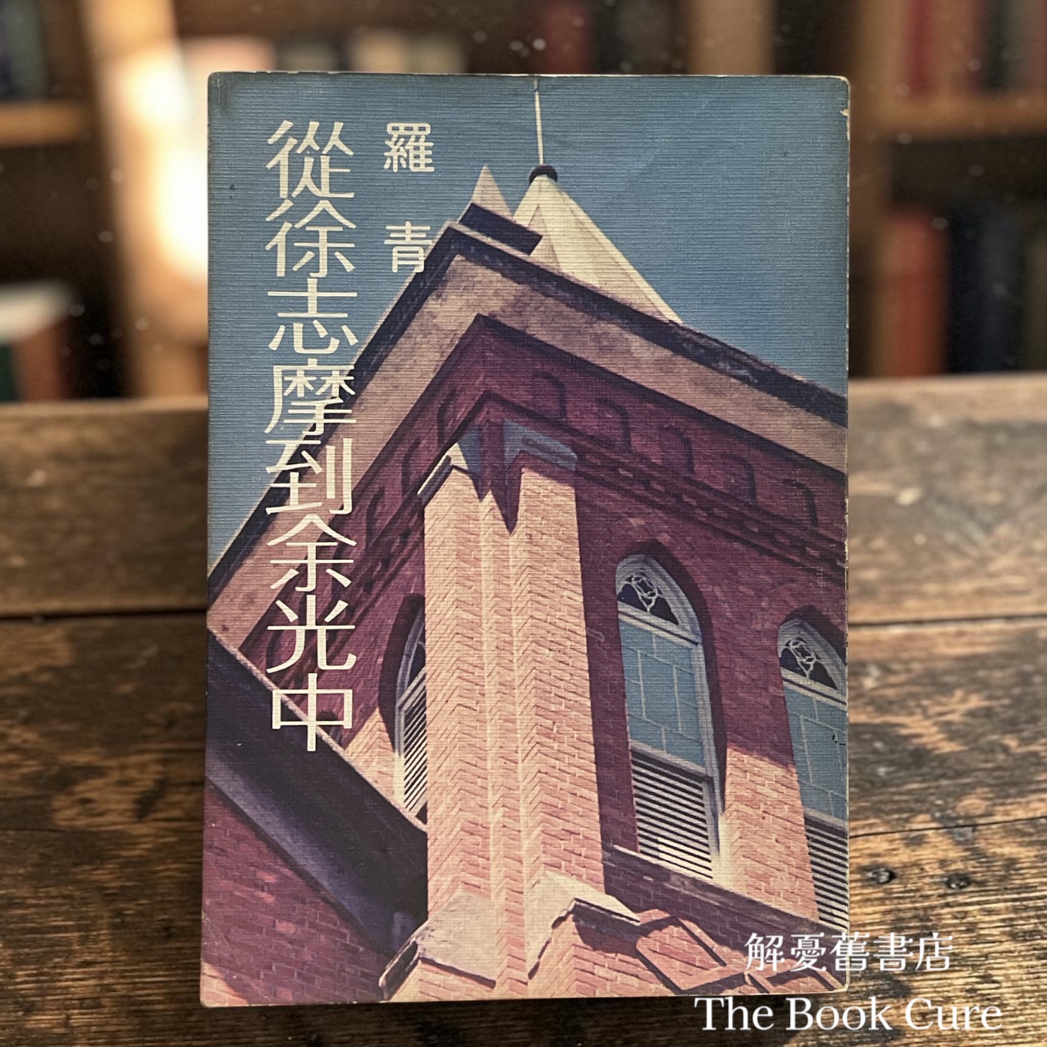 從徐志摩到余光中——白話詩研究 / 羅青 著