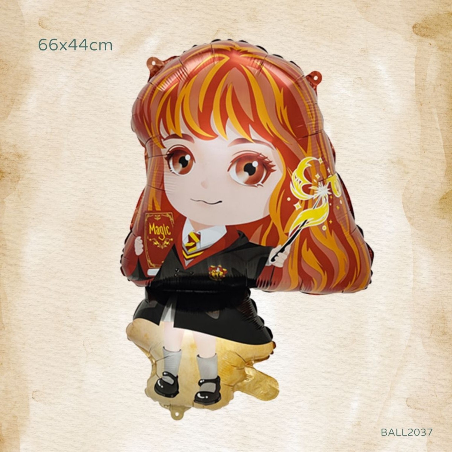 哈利波特妙麗主題生日派對氣球套裝 Harry Potter Hermione Birthday Party Balloons