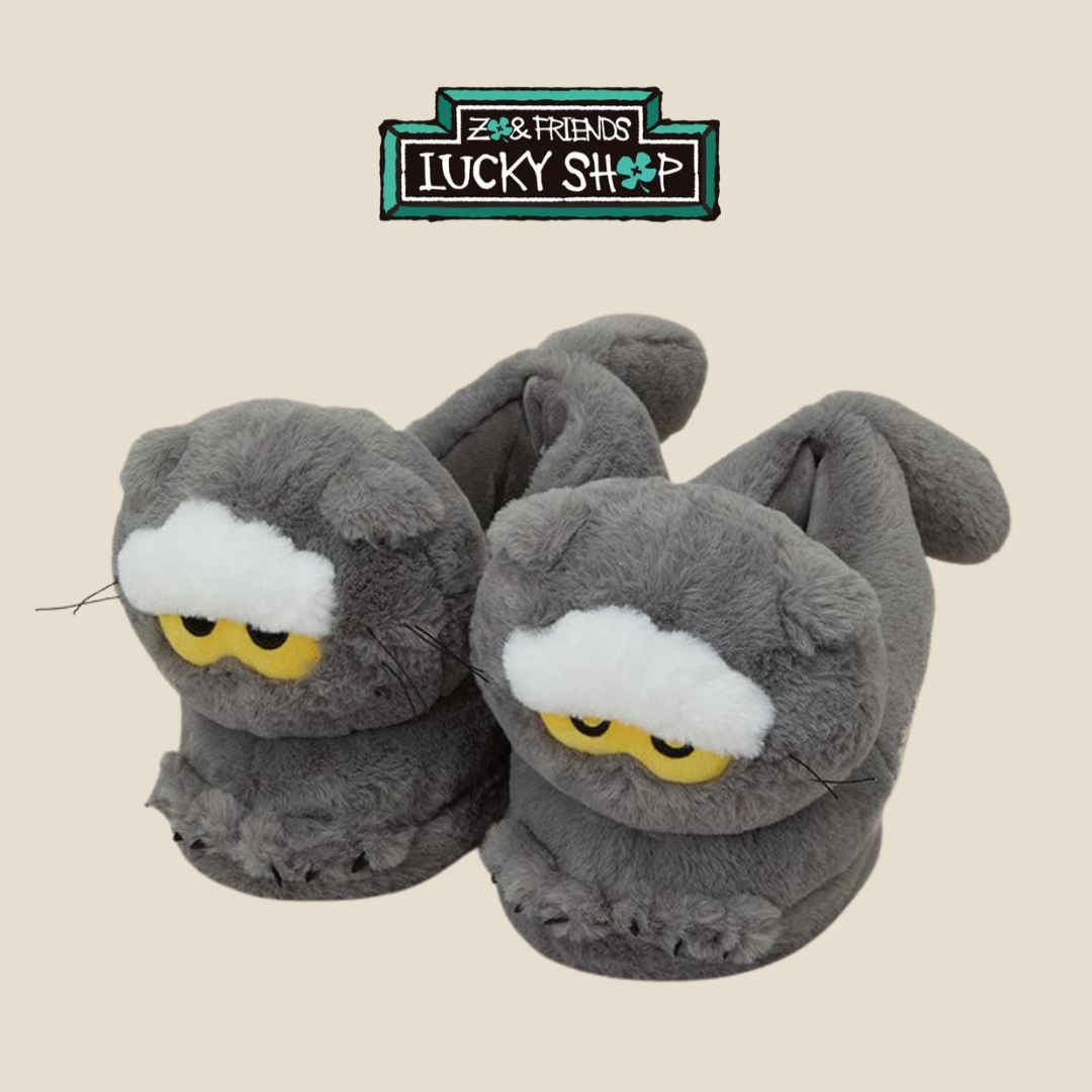 BIGBANG - G-DRAGON - [ZO&FRIENDS LUCKY SHOP] HOME SHOES - L