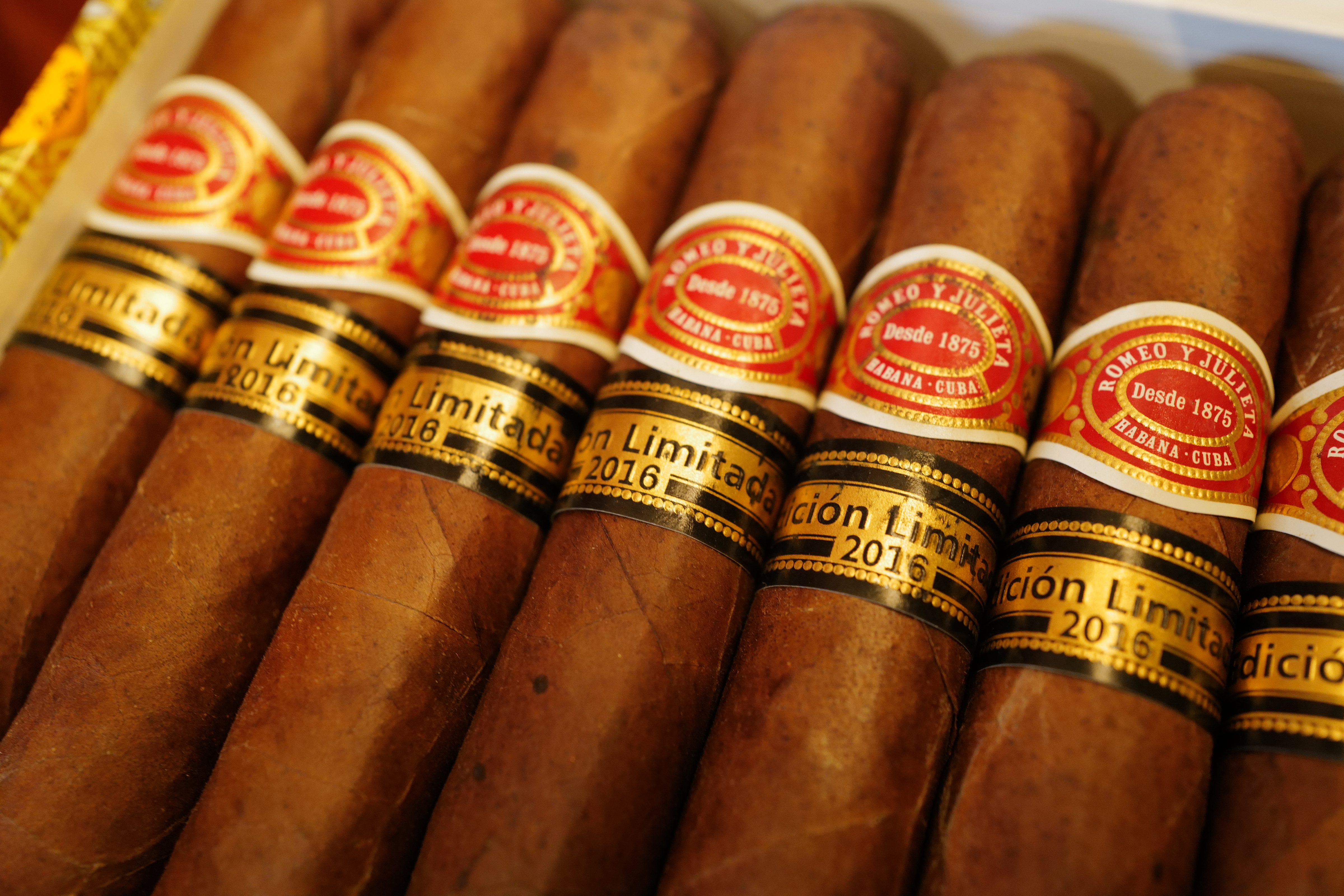 Romeo y Julieta Capuletos 2016 EL (羅密歐與朱麗葉  加布里多 2016 年度限定版)