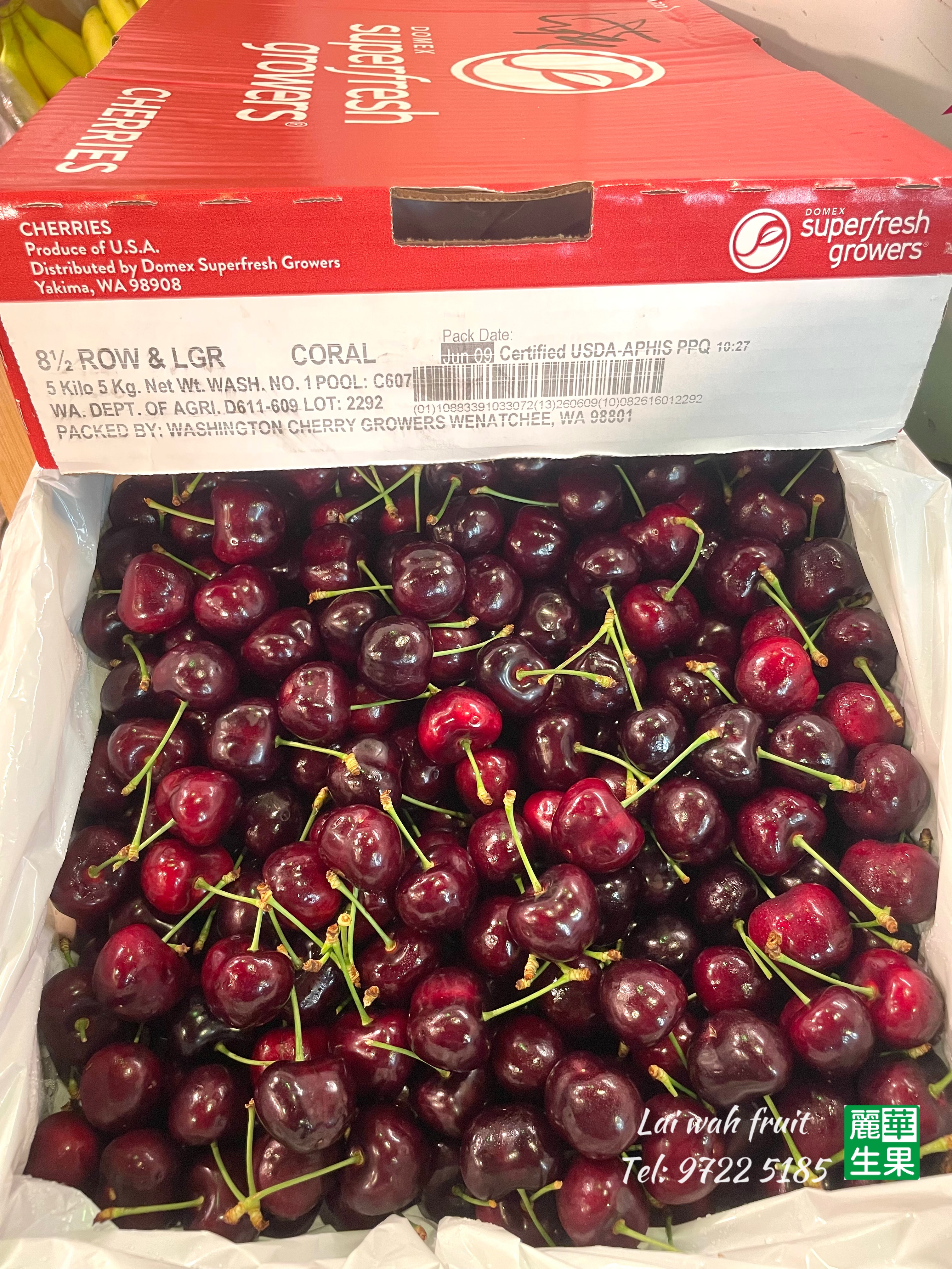 【🇺🇸美國車厘子8.5R🍒】