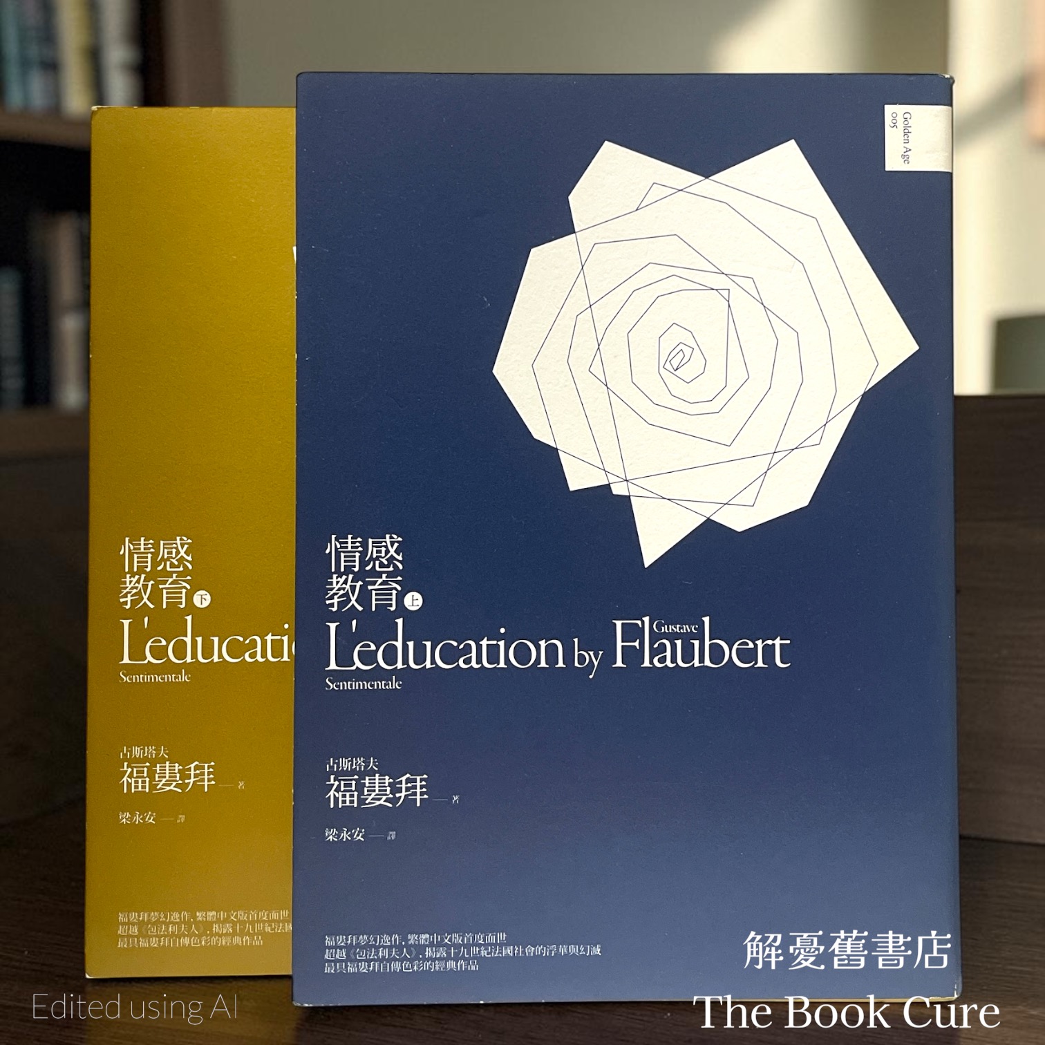 情感教育 上下 / 福婁拜 著