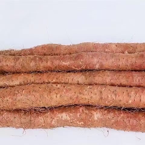 鐵棍淮山魚湯麵 (紙盒裝)