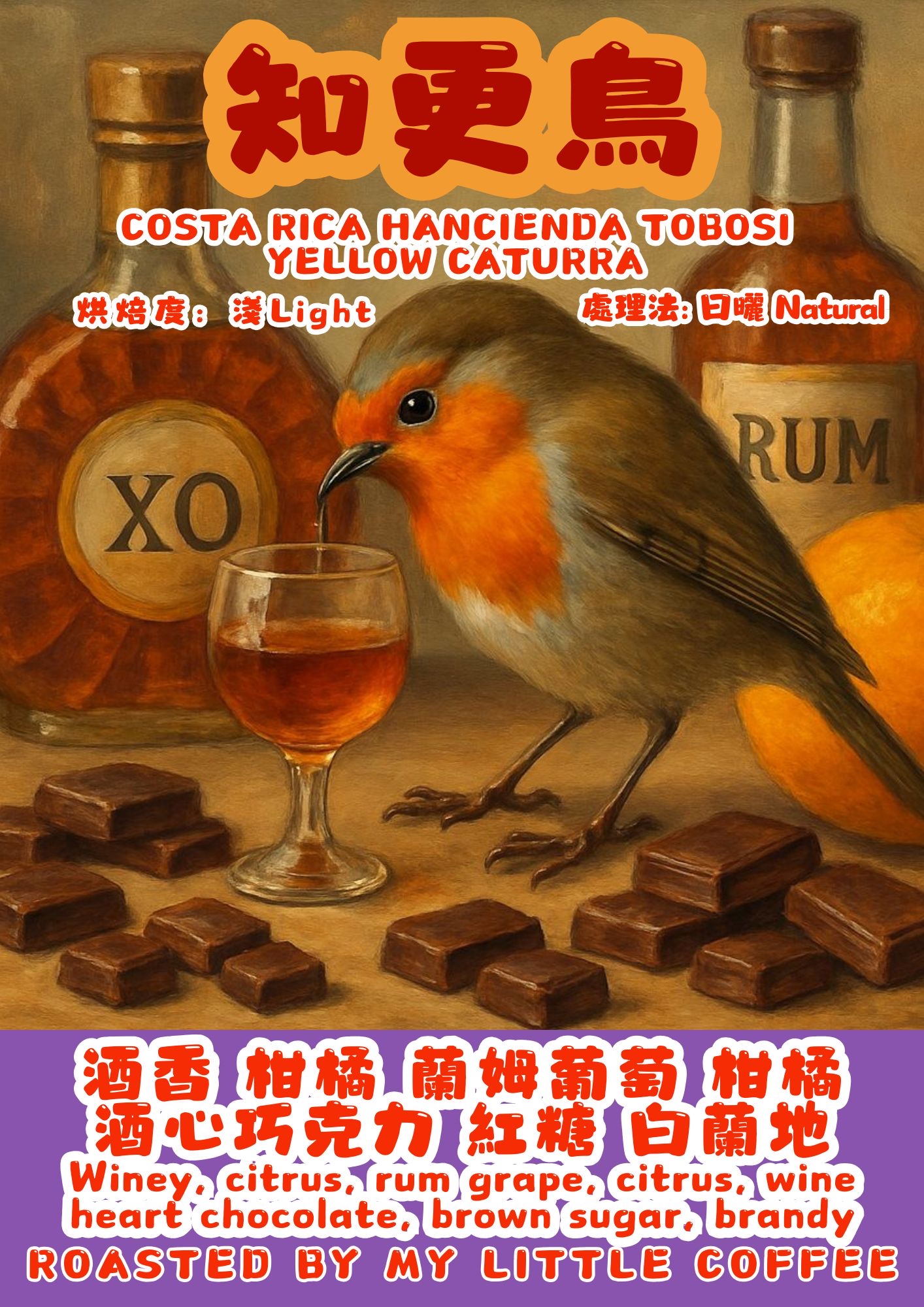 咖啡豆- 哥斯達黎加 知更鳥