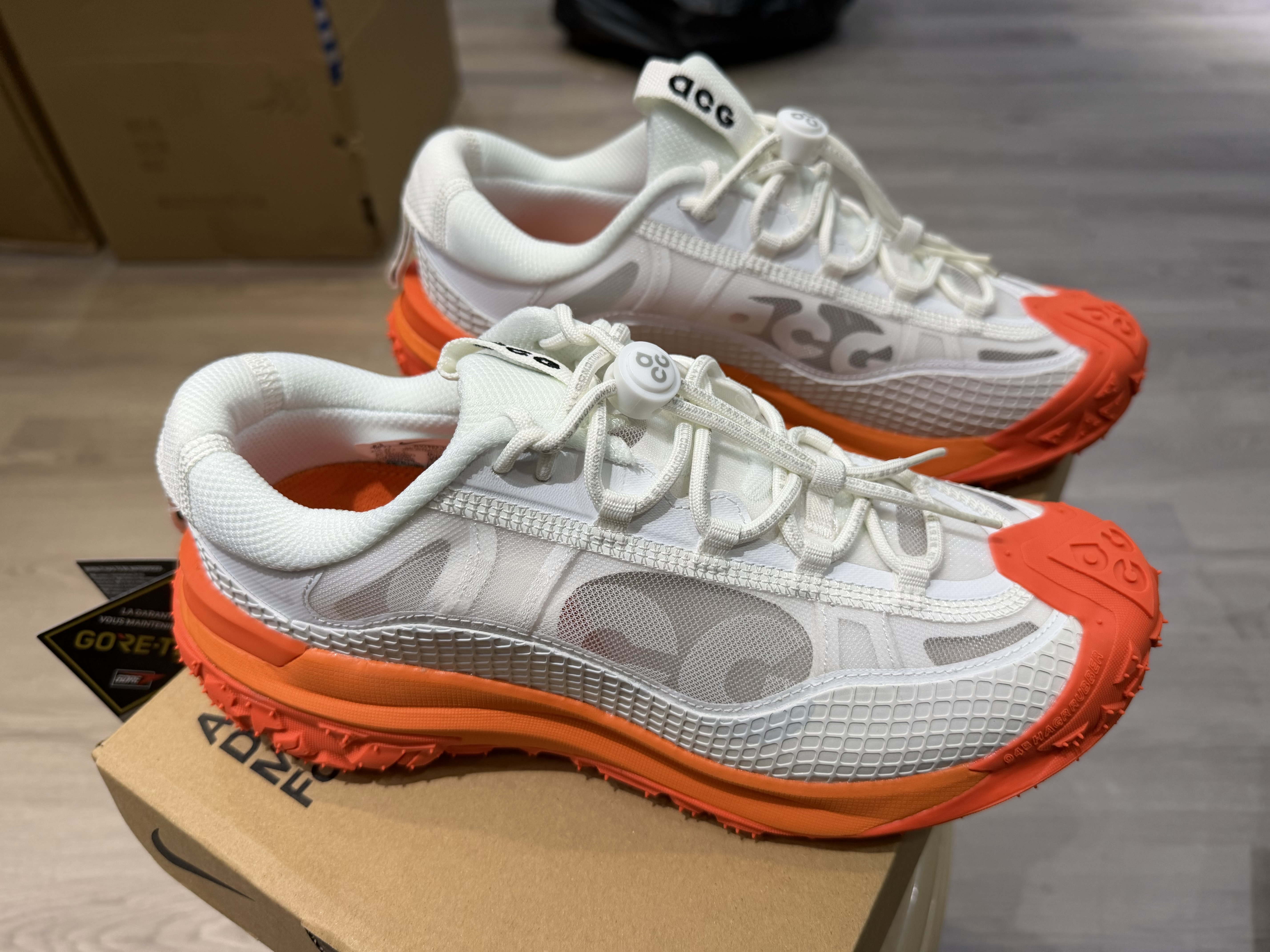 Nike ACG Mountain Fly 2 Low