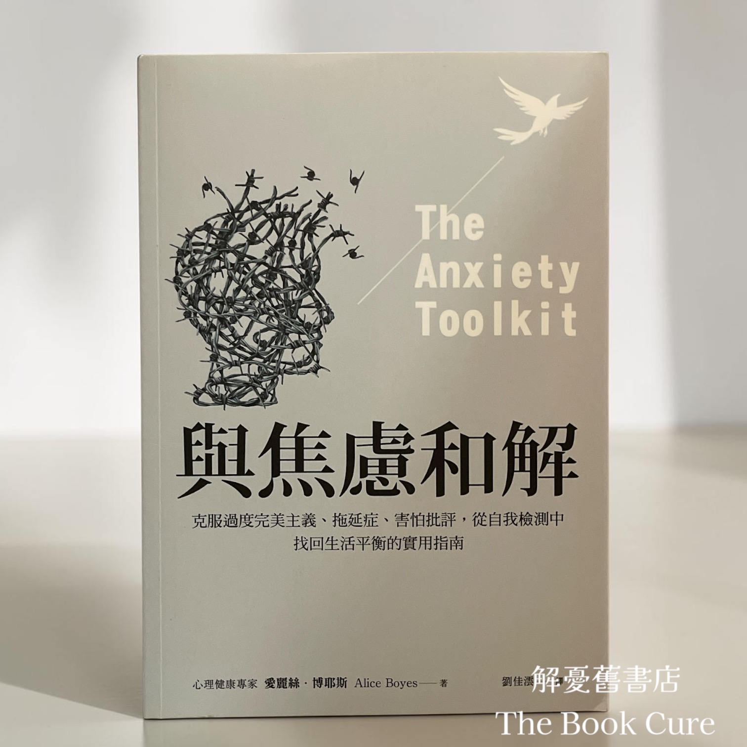 與焦慮和解 / 愛麗絲．博耶斯 著