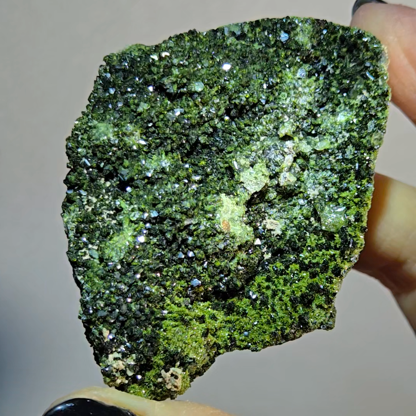 Epidote specimen with quartz inclusions - ED5