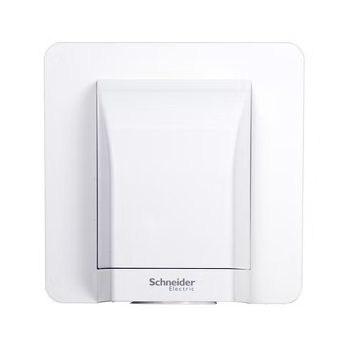 施耐德 AvatarOn 白 45A龜背 接線蘇