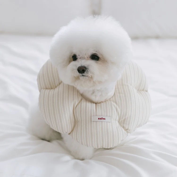*BiteMe🇰🇷Cloud Neck Collar (4 sizes)
