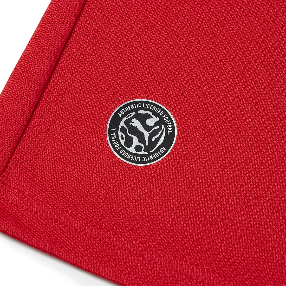 Puma Morocco 摩洛哥 2026-27 主場球迷版球衣 (可加印字) 783317