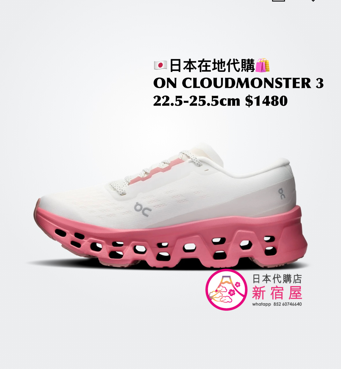 ON CLOUDMONSTER 3