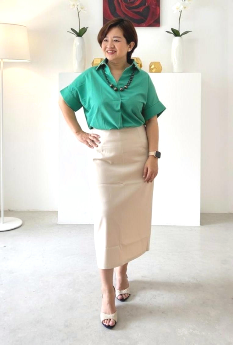 Slim A-Line Knee Length Skirt