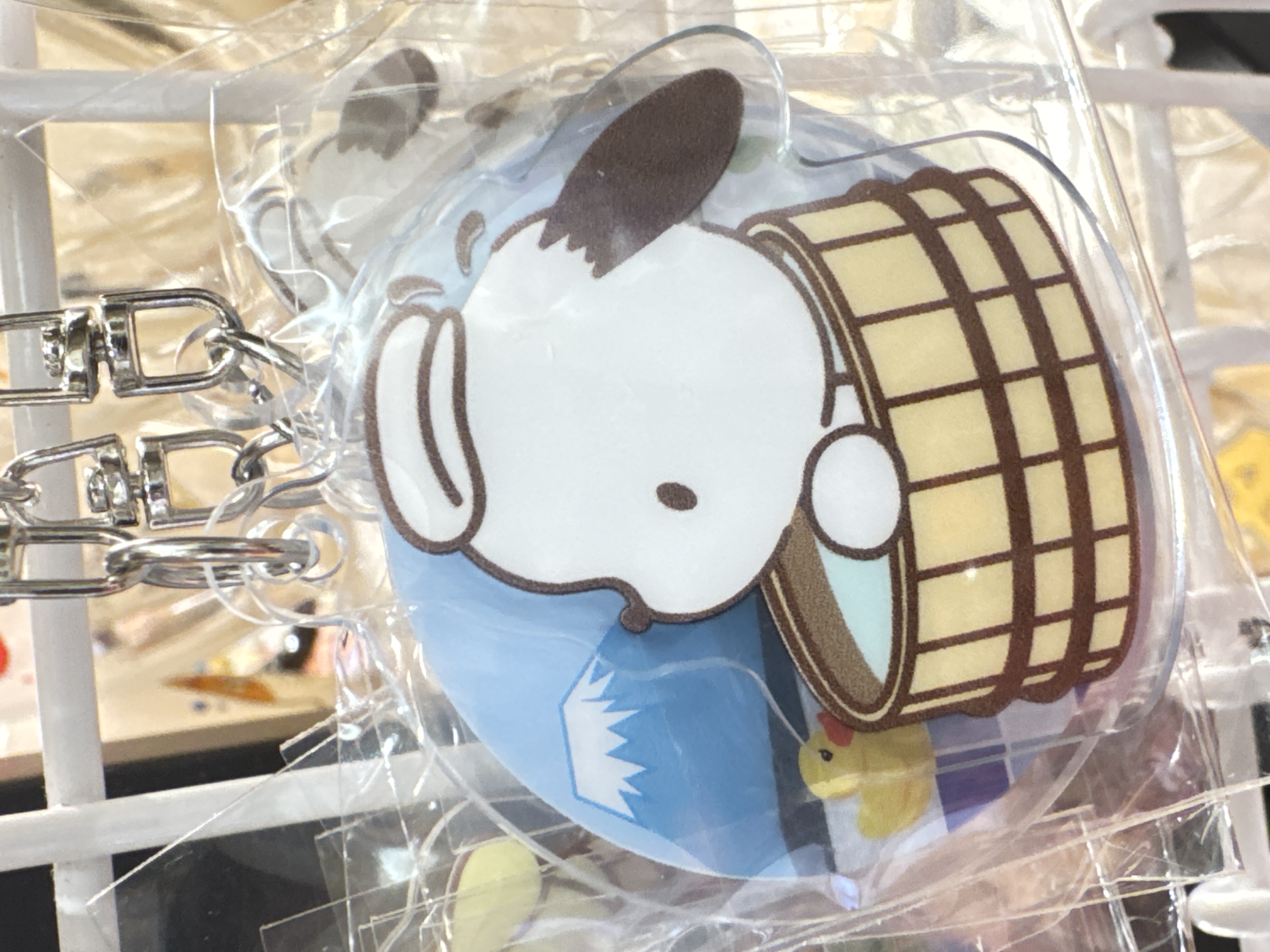 Sanrio characters 溫泉系列～pc狗