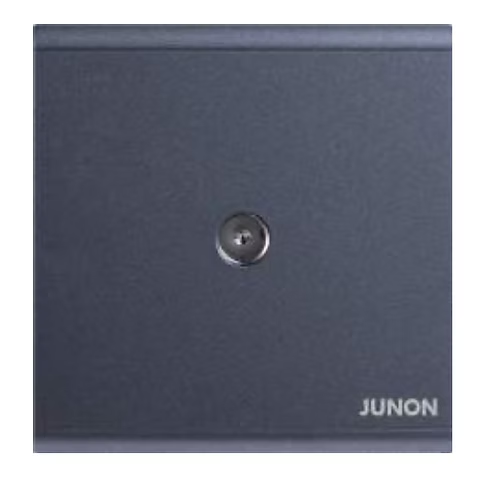 俊朗 天悅 黑 單位 TV蘇