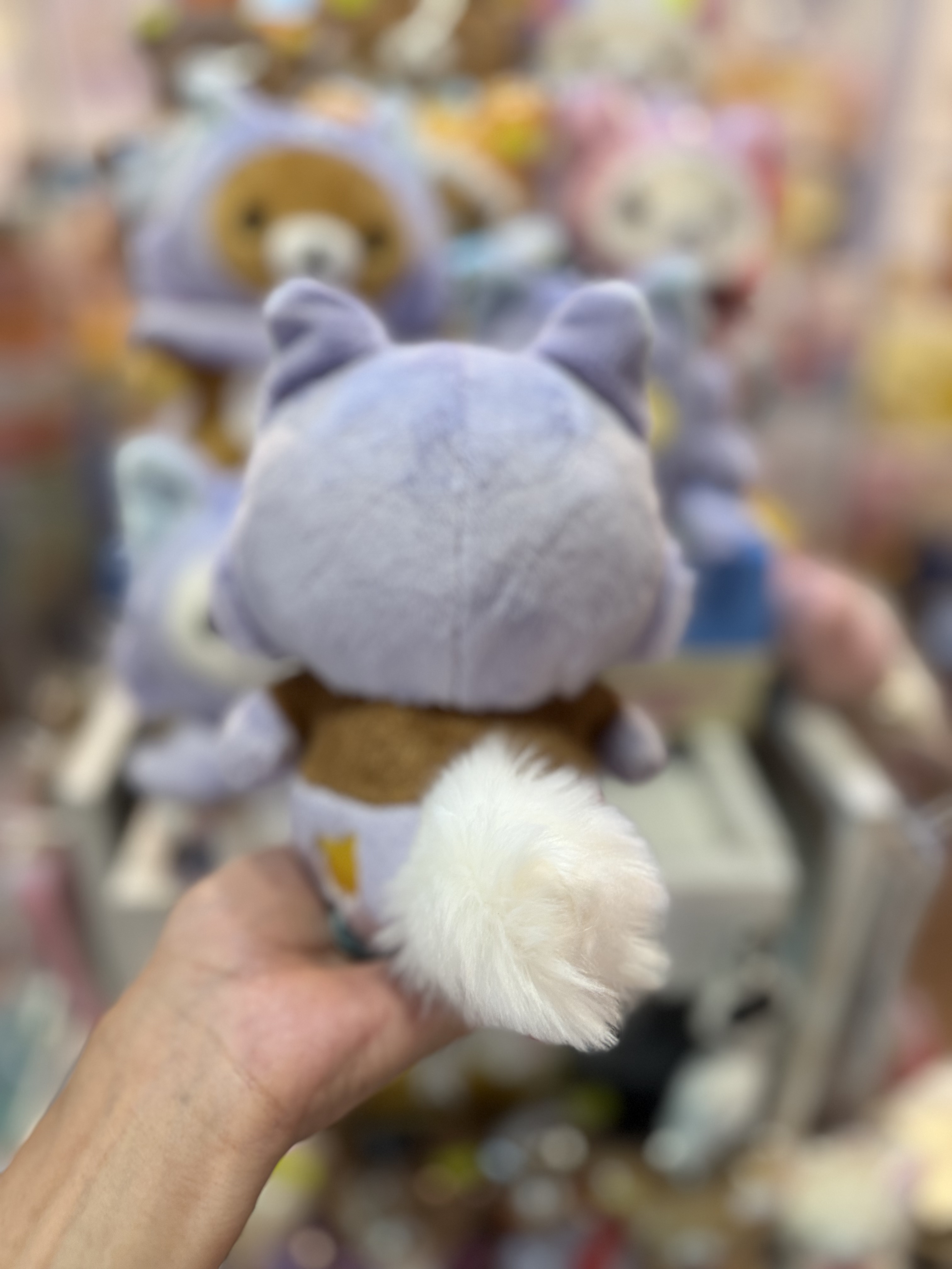 《現貨》全新Rilakkuma瓦瓦貓系列公仔