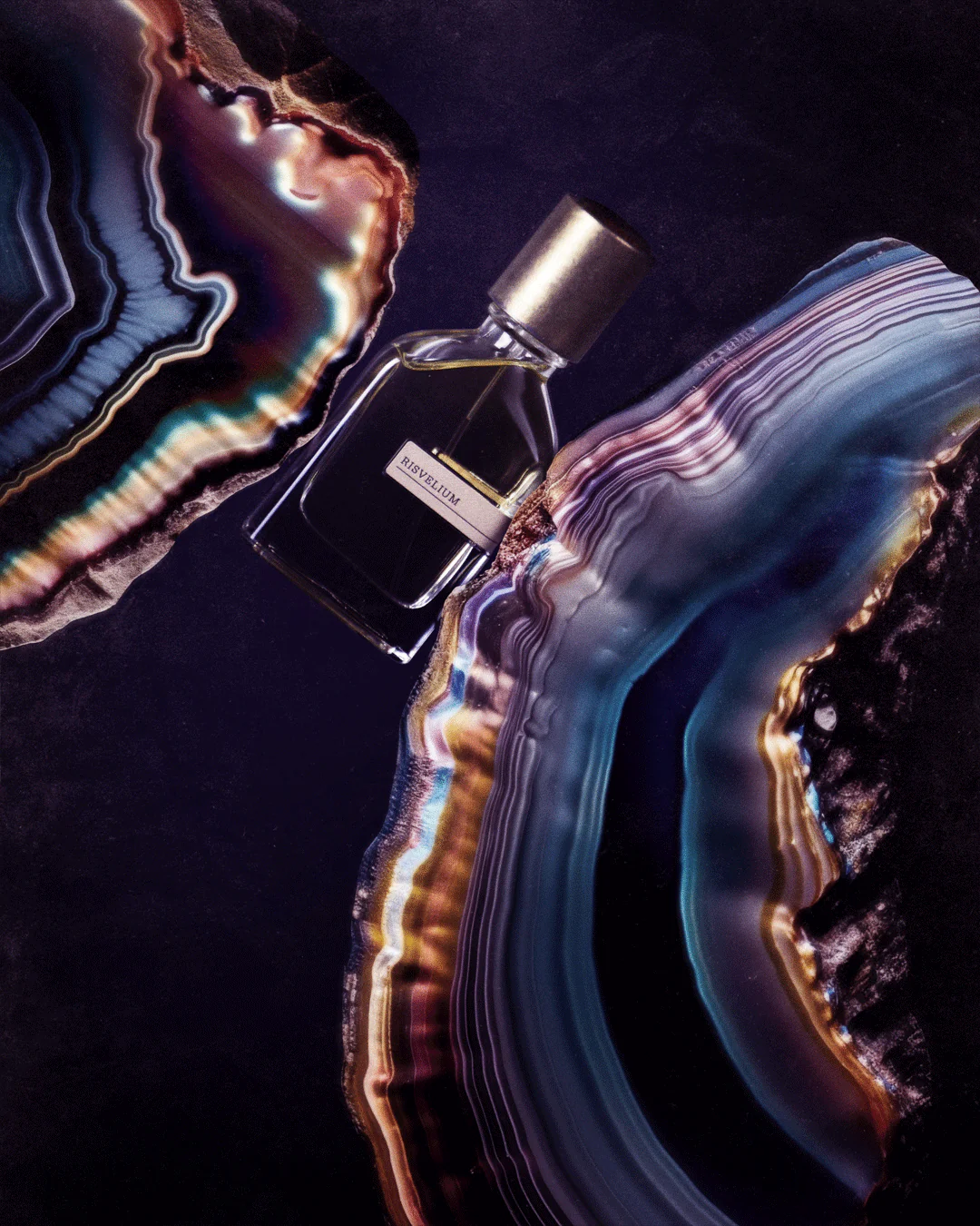 Risvelium - Orto Parisi