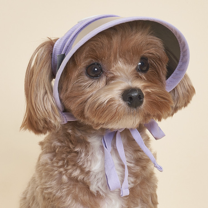 *Super Pet🇰🇷UV防曬寵物太陽帽 (DG017)