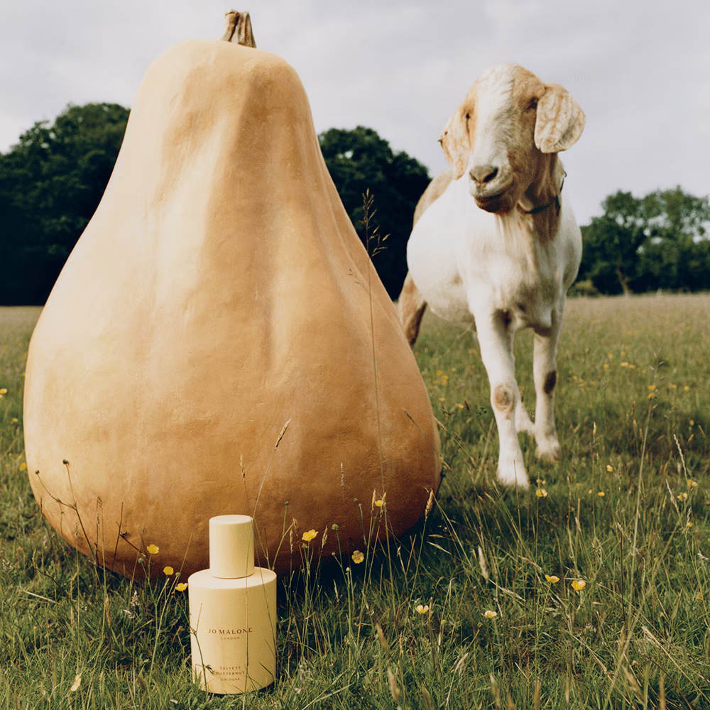 JO MALONE Velvety Butternut Cologne 奶油南瓜古龍水 30ml
