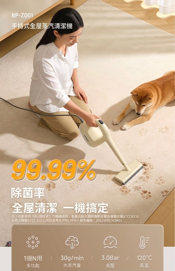 BLAUPUNKT 德國藍寶 手持式全屋蒸汽清潔機 BP-ZQ01 香港三腳插頭 (預購產品)