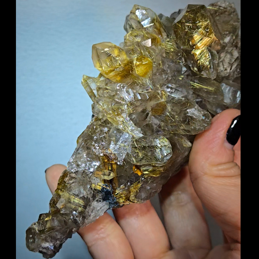 High-grade golden starburst rutiles on black hematite in quartz - RT1434