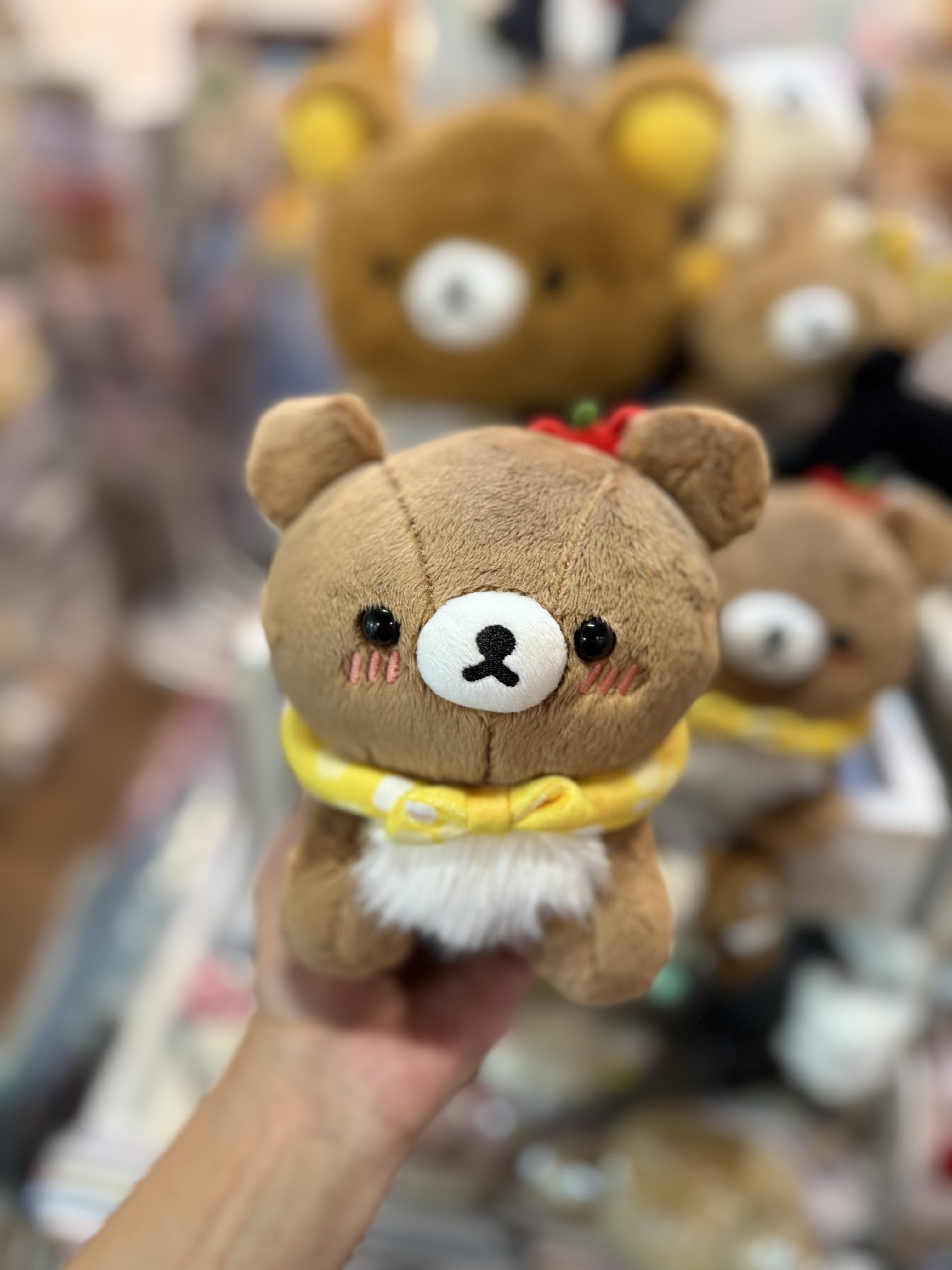 《現貨》全新日本小熊10週年紀念巡迴pop up店限定小熊探險隊系列爬爬公仔