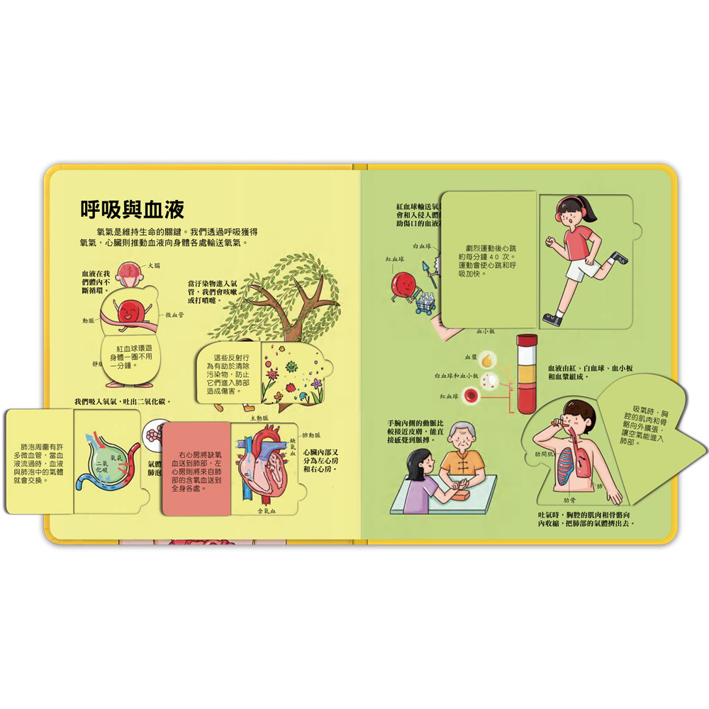 📚預訂 台灣直送📚百問百答圖解翻翻書-揭祕身體