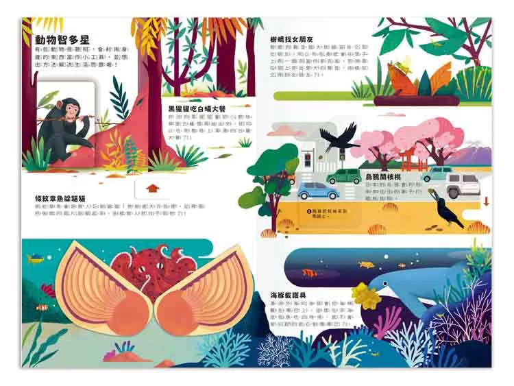 禾流 小小知識家動手大發現：動物AMAZING！