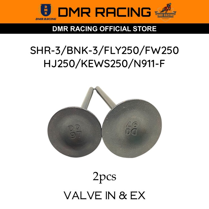 SHR-1/3/BNK-1/3/HJ250/KEWS250/N911-F/BSE MOJO/KAYO T4/CB250-G/CB250-F Standard Original Valve In & Ex (Motocross China)