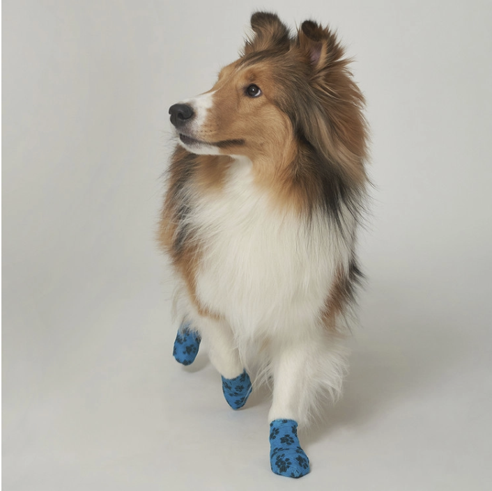 *SuperPet🇰🇷狗狗戶外散步自粘繃帶鞋(10卷裝) DG091