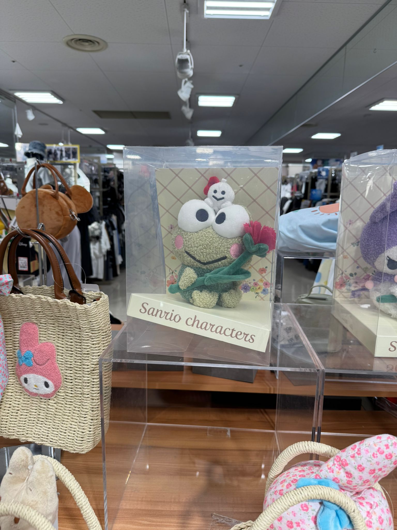 ✨連線商品需補運費✨Avail Sanrio Characters 康乃馨毛公仔連透明禮盒 (Keroppi)