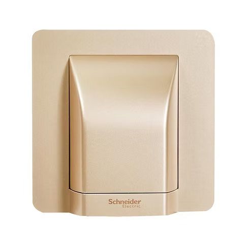 施耐德 AvatarOn 沉醉金 45A龜背 接線蘇