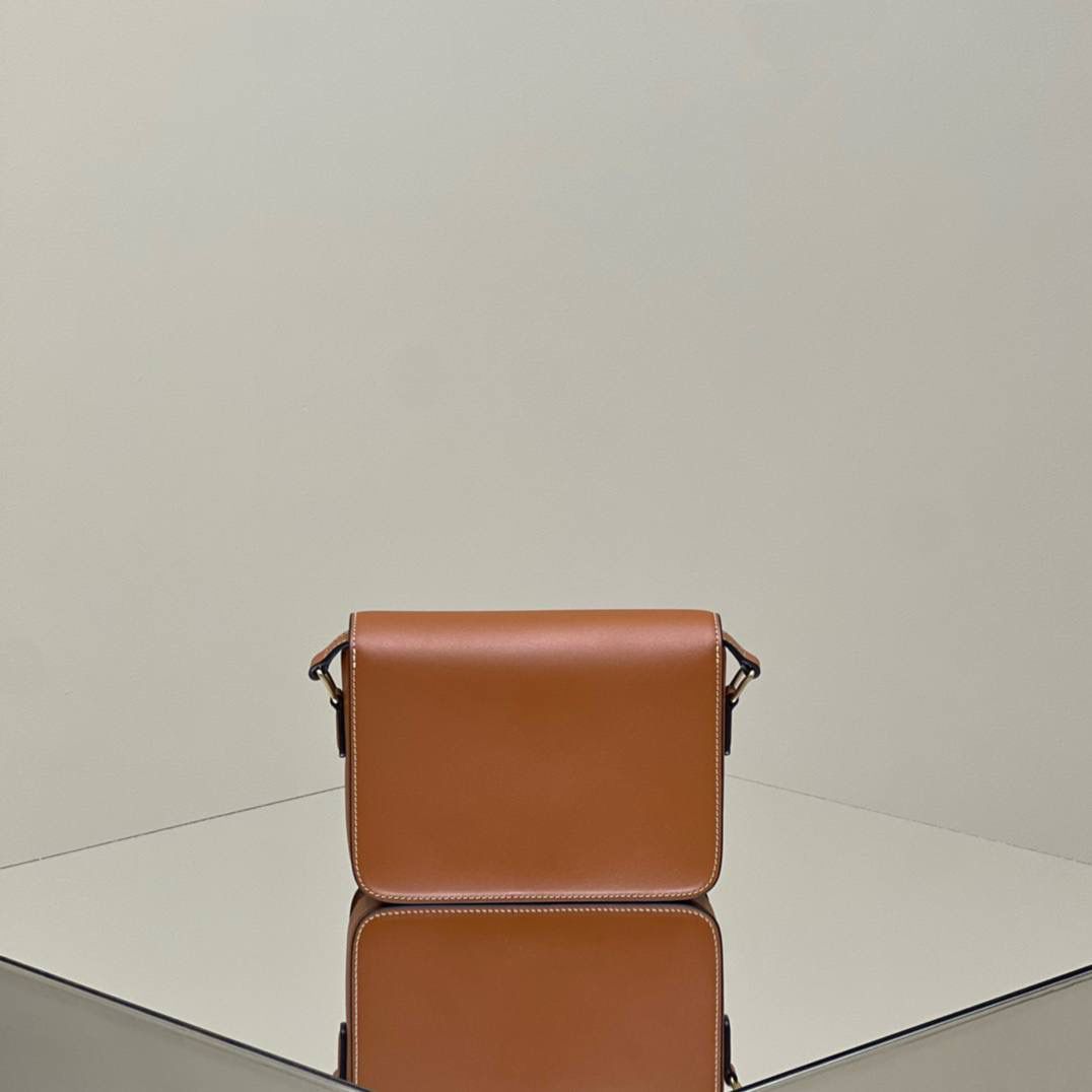 🔥大货实拍图 𝗖𝗘𝗟𝗜𝗡𝗘 ♥ 𝗧𝗘𝗘𝗡 𝗧𝗥𝗜𝗢𝗠𝗣𝗛𝗘 型号：188423 中号尺寸：22.5*16*7cm 小号尺寸：18.5*14*6cm