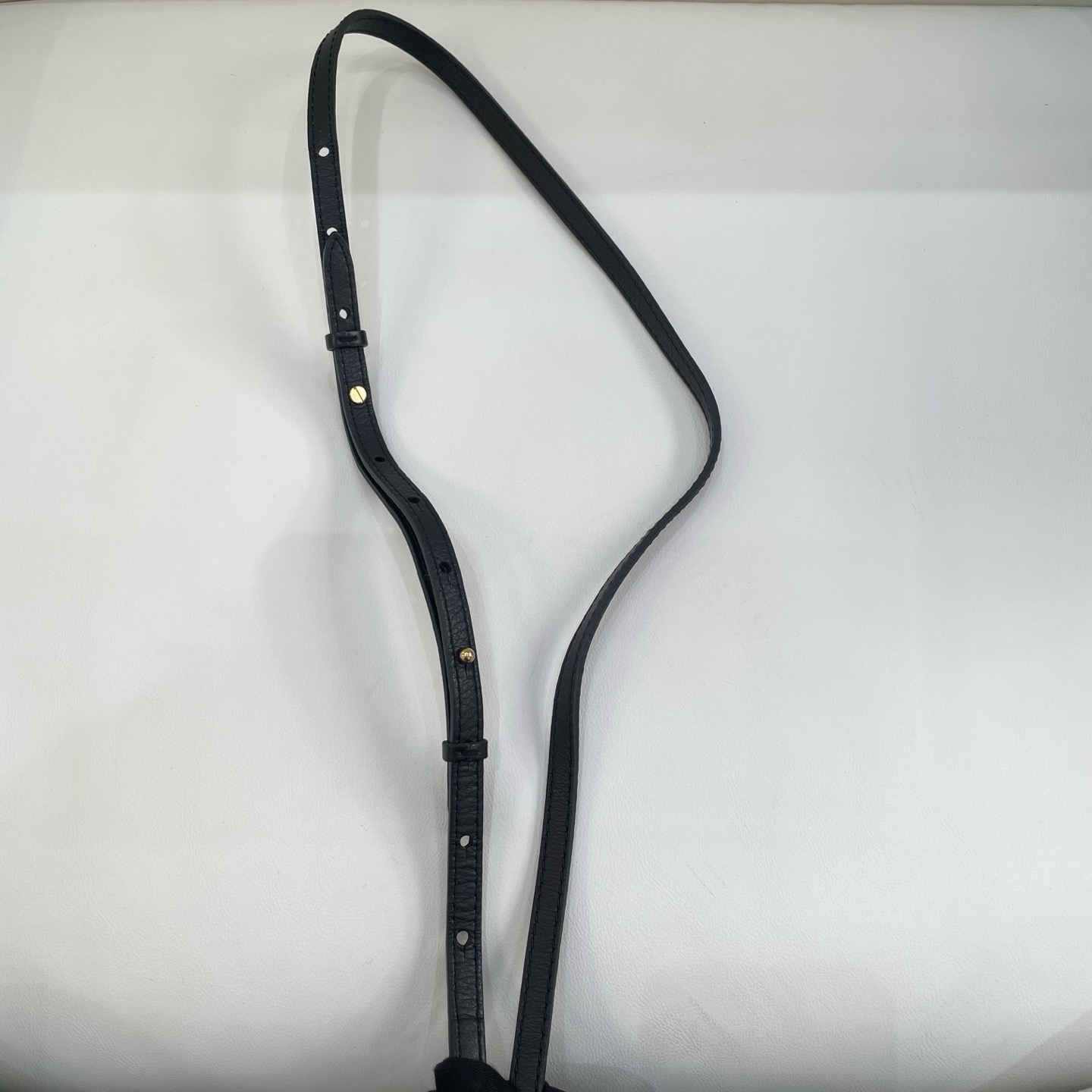 【預訂貨品】LV老花plam springs迷你書包 