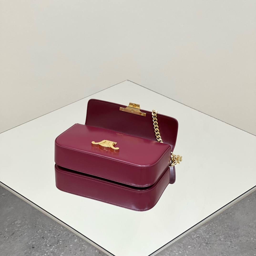 🔥大货实拍图 𝗖𝗘𝗟𝗜𝗡𝗘 ♥ 𝗧𝗥𝗜𝗢𝗠𝗣𝗛𝗘链条腋下包 型号：197993 尺寸：20.5*11.5*4cm