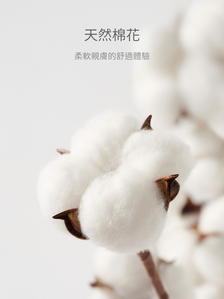 預購 miffy TW 棉 tee 08