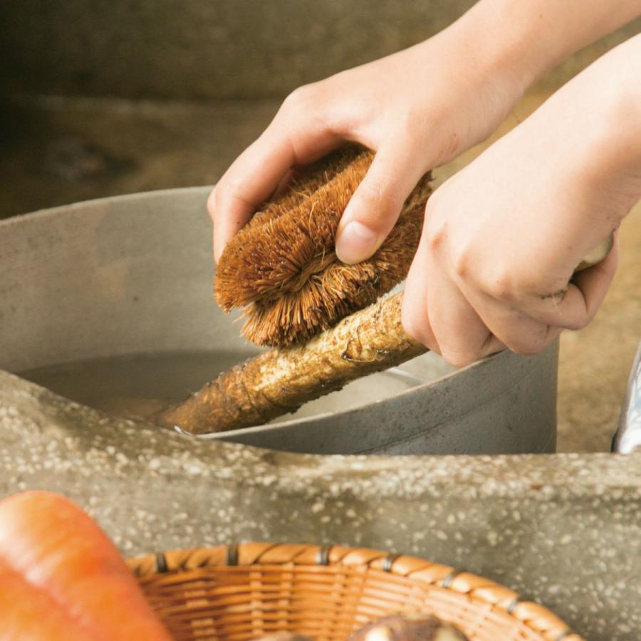 🔥🔥【日本製《龜之子束子》1號型小號棕色椰殼刷】