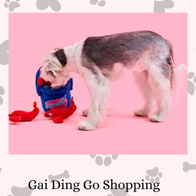 小龍蝦藏食玩具 🦞Lobster Nosework Toy 🦞可愛外型的藍色桶內,估吓入面有D咩？，裡面藏著三隻紅色的小龍蝦🦞🦞,小小龍蝦🦞,笑哈哈😆🔸  小龍蝦發出Bibi 聲🔸  遊戲難度： ❣️Lv.1 - 把零食分別藏入小龍蝦🦞的背  部、及藍色桶內,讓毛孩🐱🐶 透過嗅聞過程,找出零食✌🏻 ❣️Lv.2 - 把零食分別藏入小龍蝦🦞的背  部、及藍色桶內,並把小龍蝦🦞放  回藍色桶內, 讓毛孩🐱🐶 透過  嗅聞過程,找出零食✌🏻🔸Size： 小龍蝦藏食玩具 🦞 ： ❣️ 藍色桶：26cm × 16 cm  ⚠️注意⚠️ 清洗方法🧺 ： 小龍蝦藏食玩具 🦞 建議先放入洗衣袋才放入洗 衣機清洗或手冼,及配合寵物 用嘅清潔劑,並風乾#dog #cat #pet #hk #hongkong petshop onlineshopping petlover 寵物用品 毛孩 禮物 狗 貓 寵物 貓星人 hampers 狗玩具 貓玩具 寵物玩具 狗仔衫 寵物市集 貓狗用品 hkigshop igshop hkig gaidinggoshopping hkpetshop  present  Korea lobster