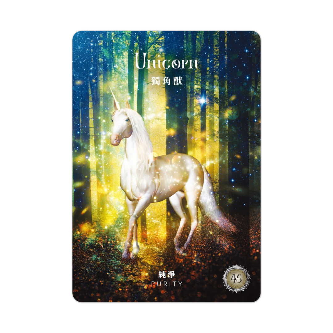 神聖森林神諭卡䌓體中文版